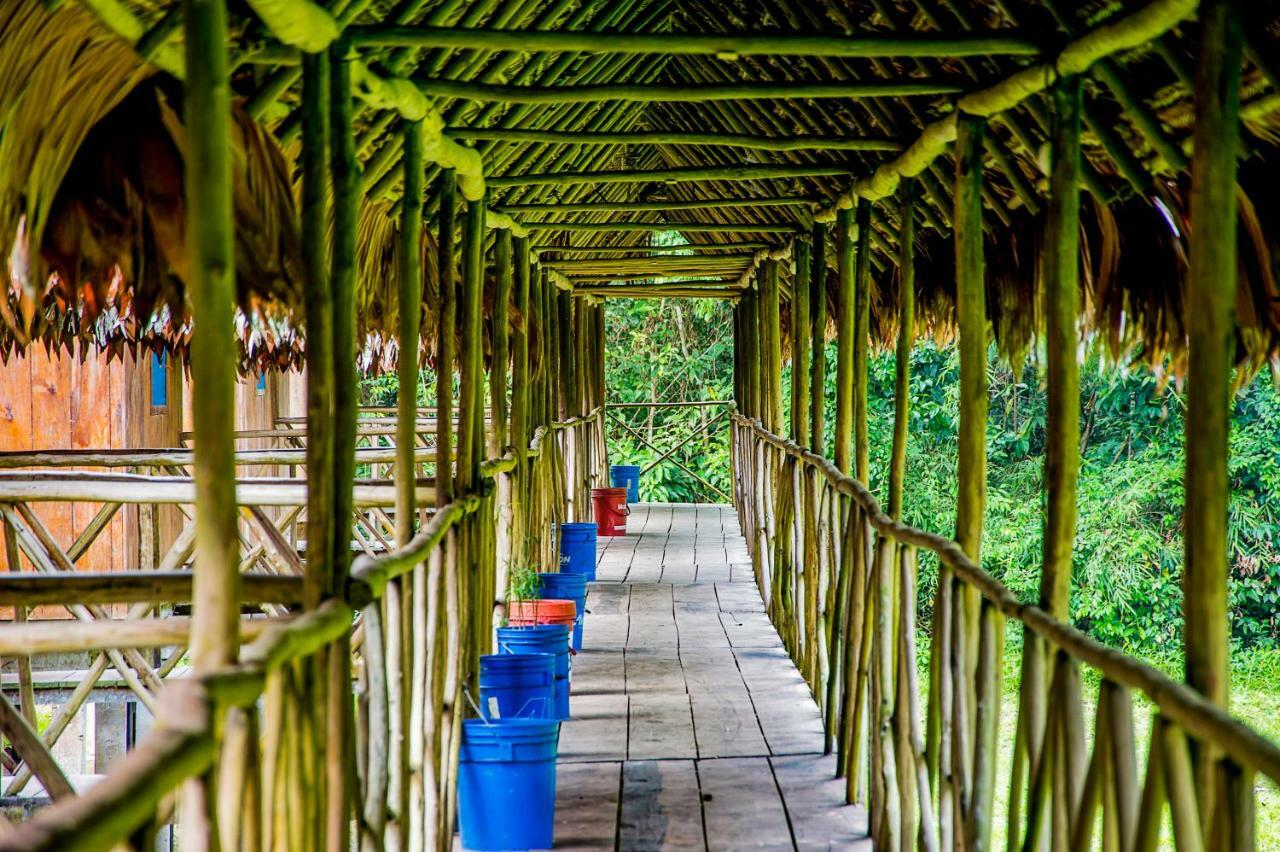 Amazon Muyuna Lodge Paraíso Exteriér fotografie