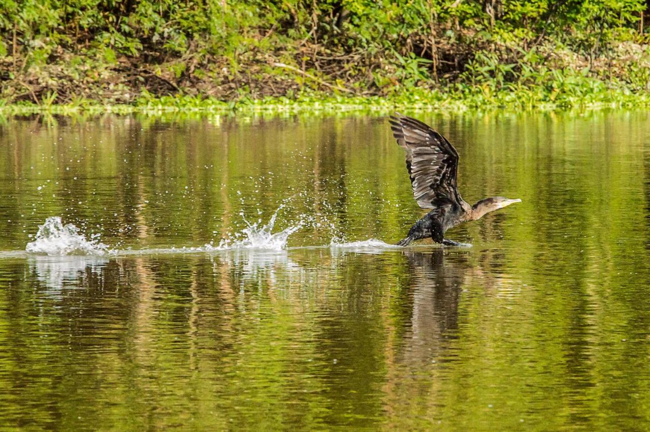 Amazon Muyuna Lodge Paraíso Exteriér fotografie
