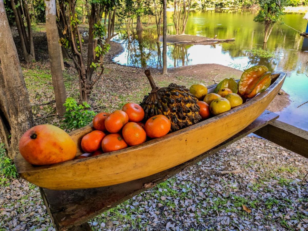 Amazon Muyuna Lodge Paraíso Exteriér fotografie