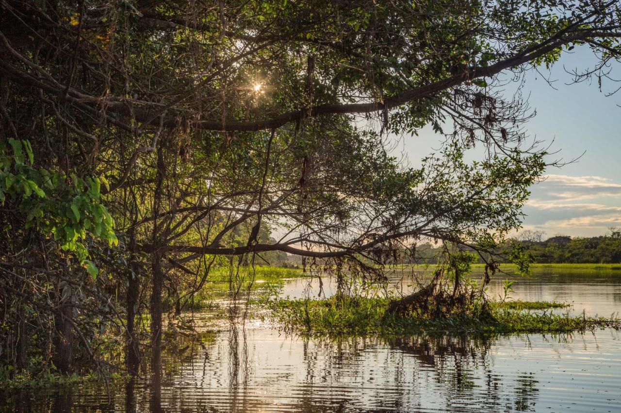 Amazon Muyuna Lodge Paraíso Exteriér fotografie
