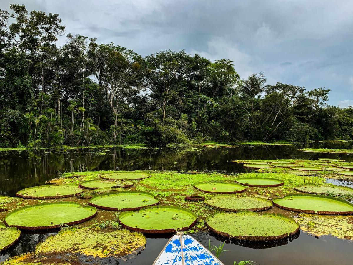 Amazon Muyuna Lodge Paraíso Exteriér fotografie